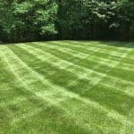 Mowed lawn with stripes