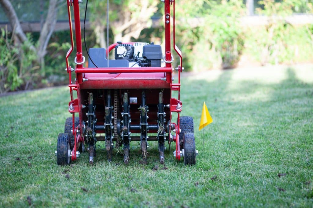 Aerate your lawn in Burke