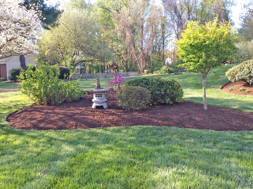 clean up and mulch back yard with edging and landscape design