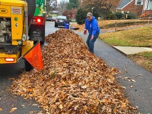 Leaf removal crew about to vacuum leaves