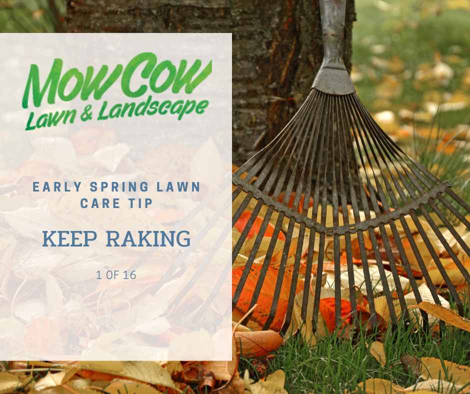Early Spring Lawn Care Tips