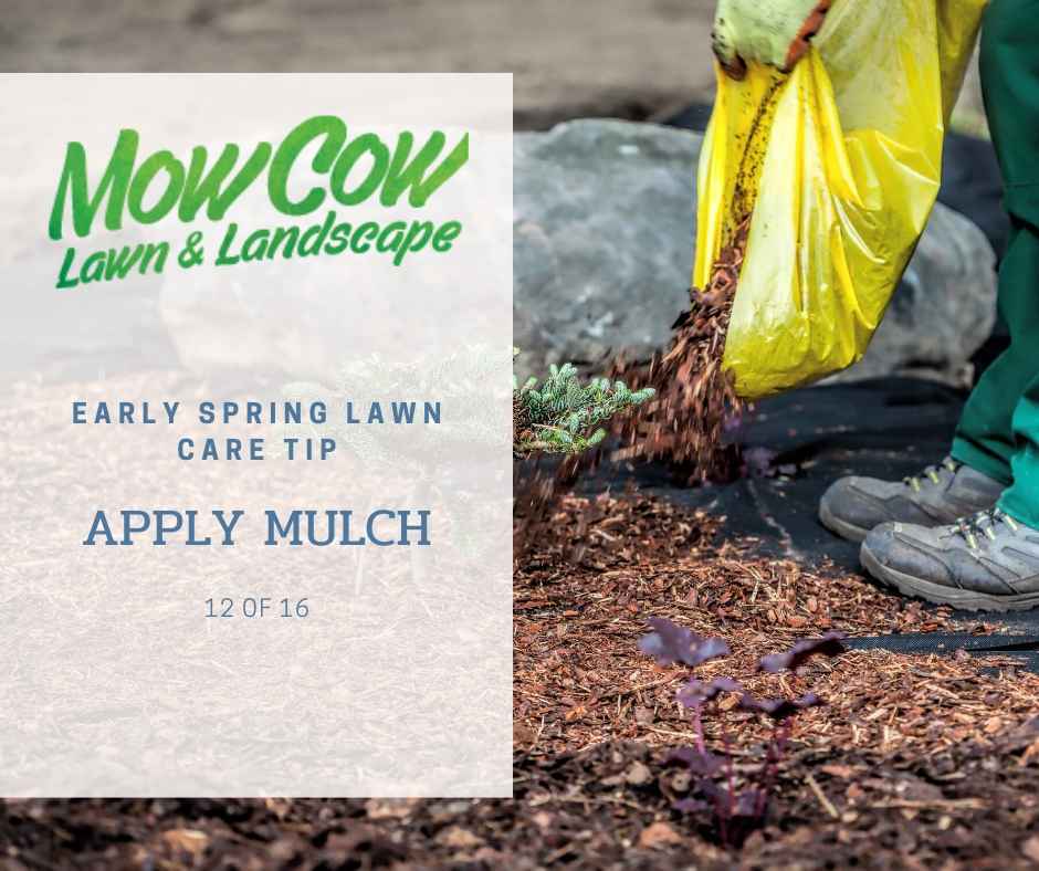 Early Spring Lawn Care