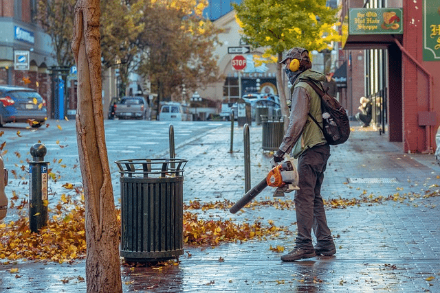 fall, blowing street, leaves