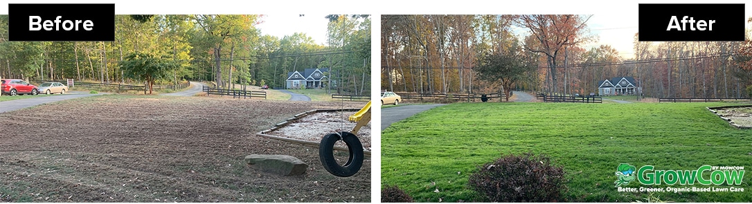 Lawn Rescue before and after local lawn care company, GrowCow